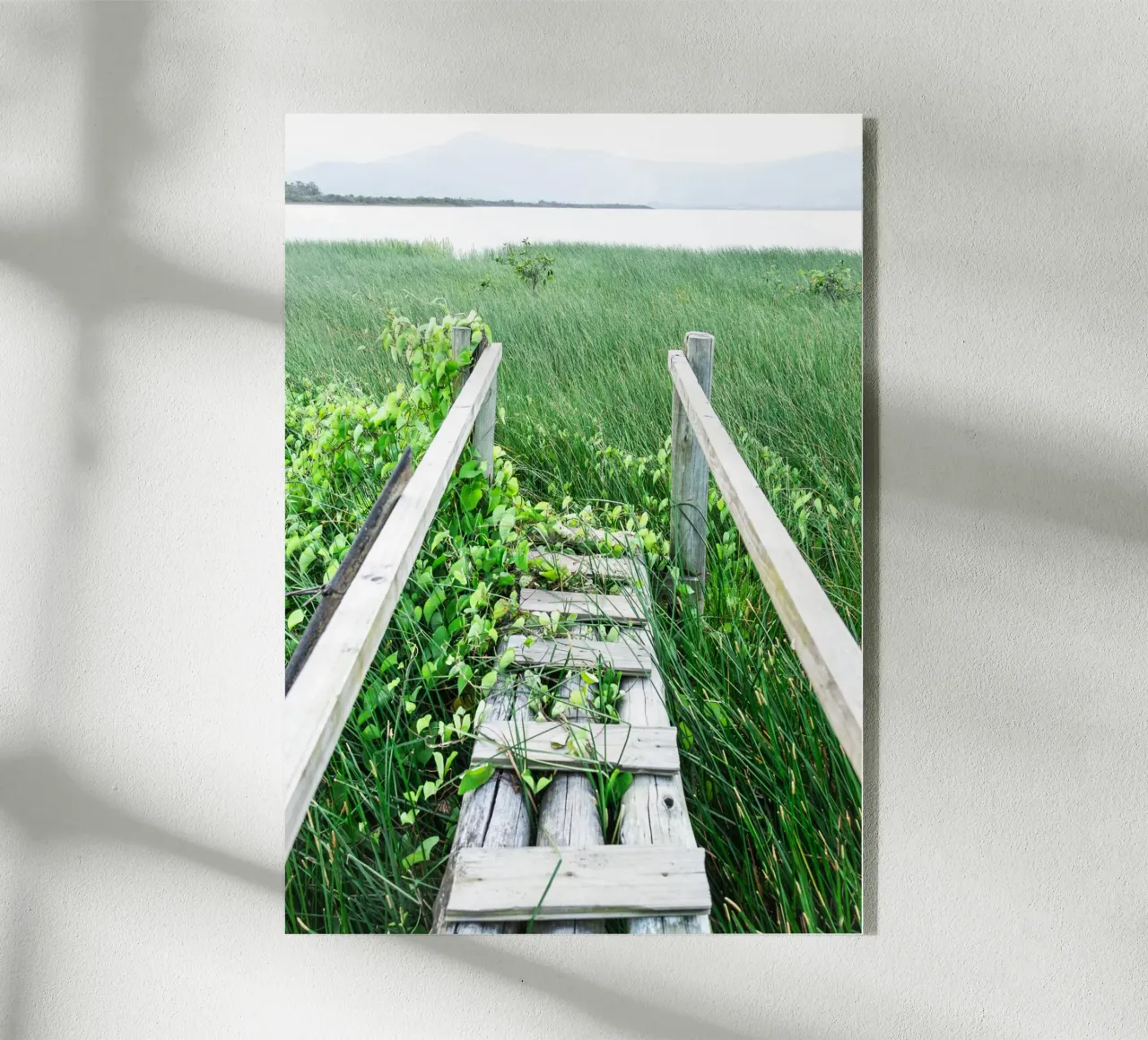 Verde #1 plexiglass da rafael campezato