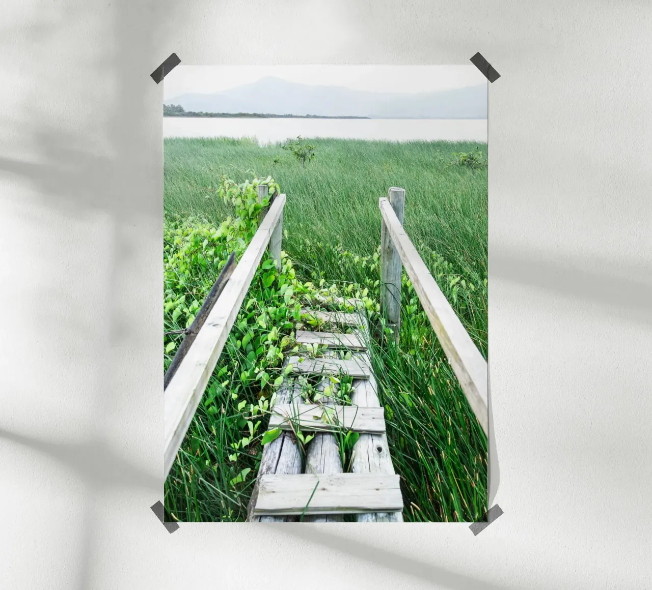 Verde #1 product.type.poster common.byCreator rafael campezato