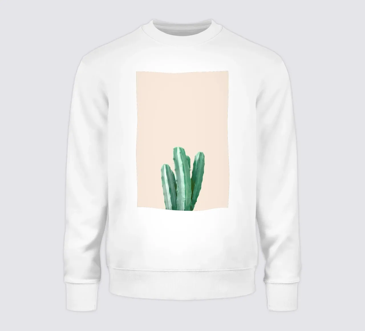 Pink Cactus felpa da Chris Abatzis