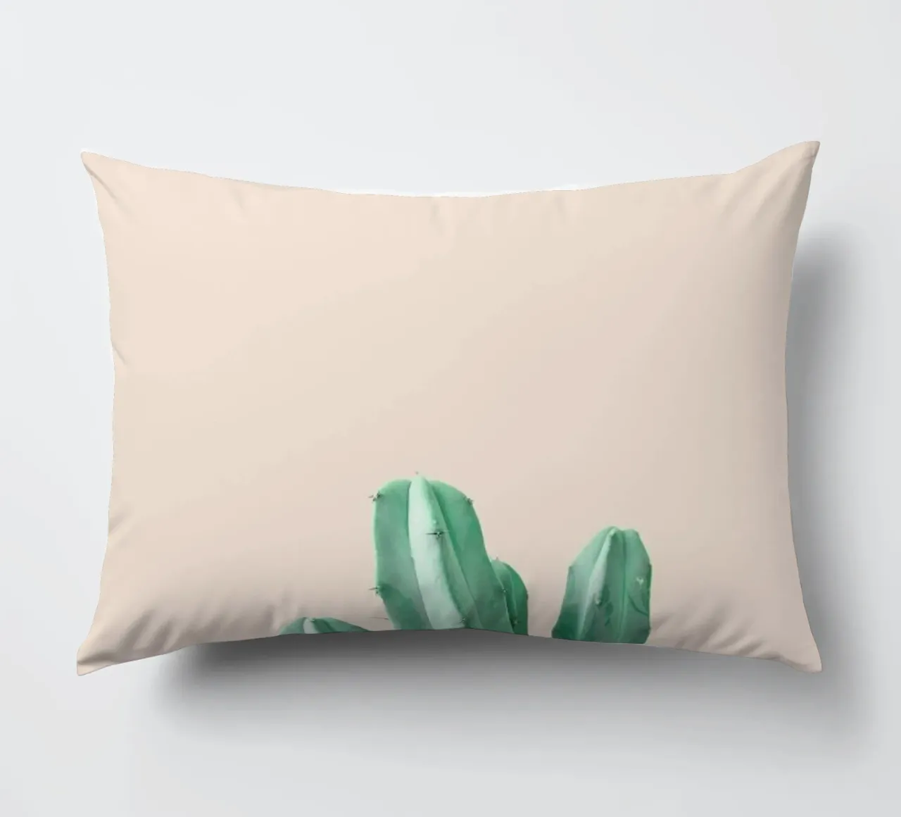 Pink Cactus cuscino da Chris Abatzis