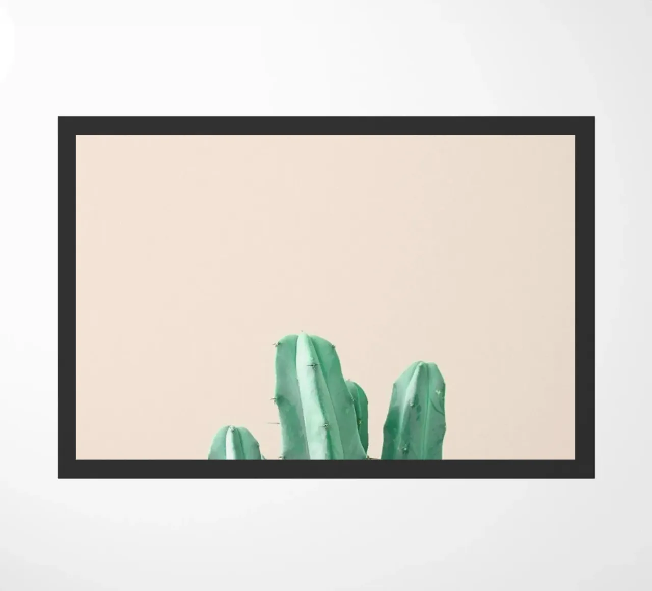 Pink Cactus zerbino da Chris Abatzis