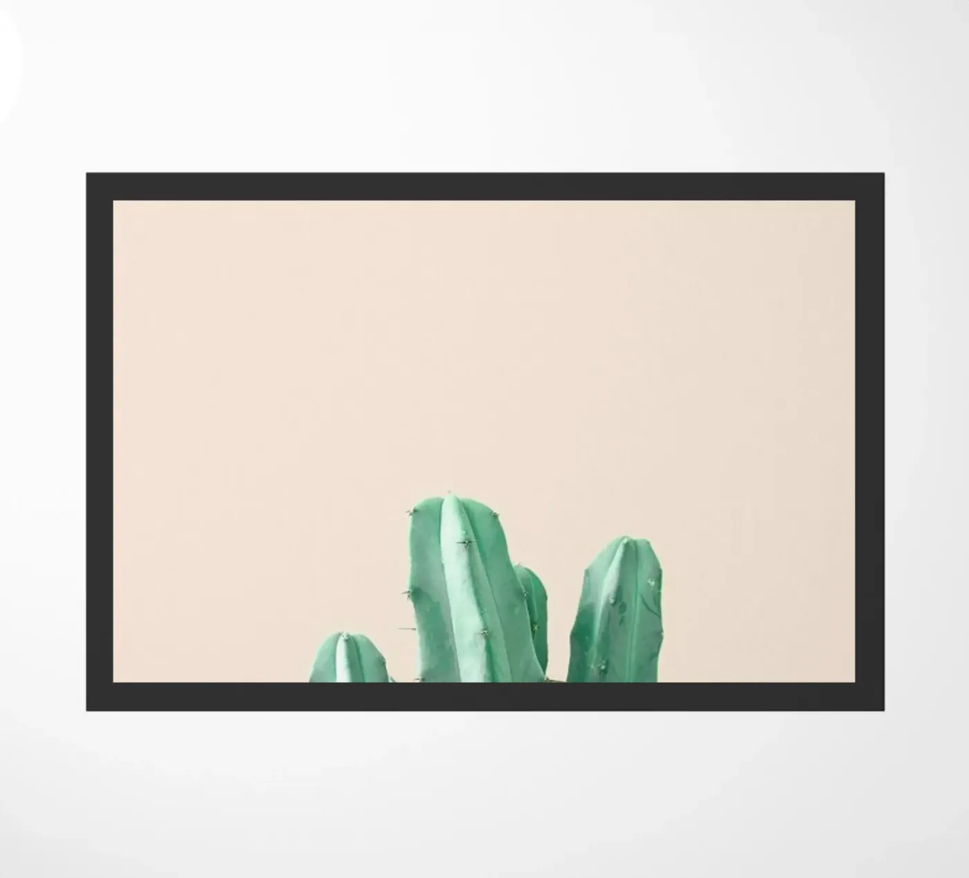 Pink Cactus zerbino da Chris Abatzis