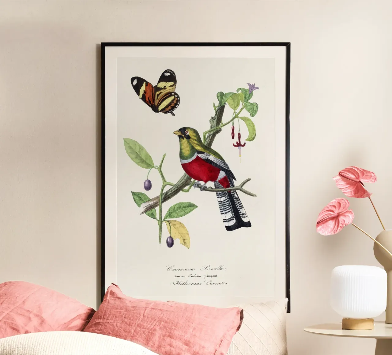 Paul Gervais - Crimson Rosella Vogel poster van Old Masters