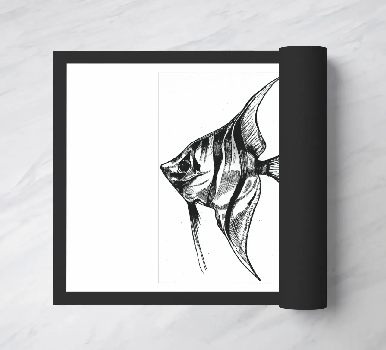 Skalar zerbino da naturelines