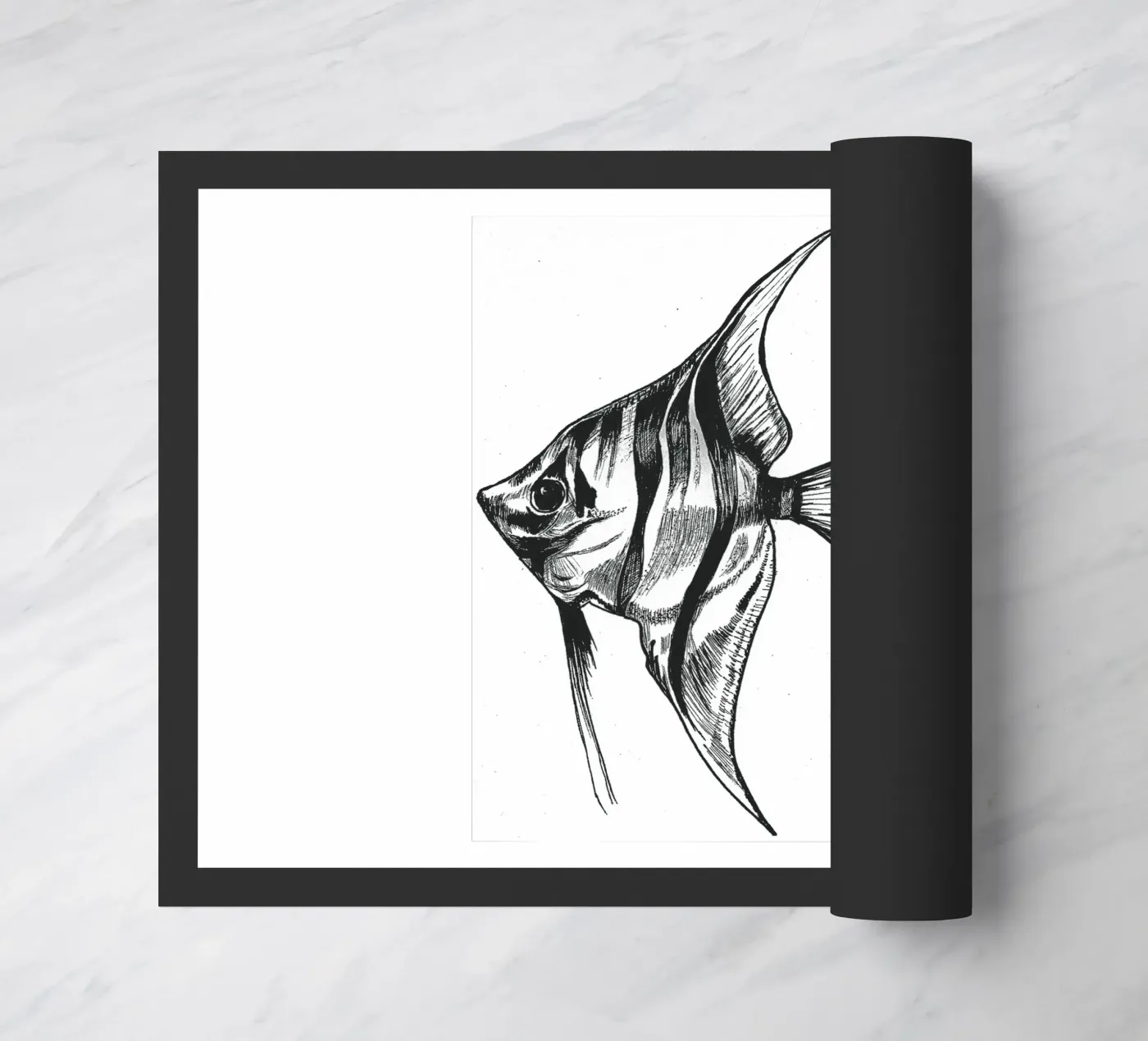 Skalar zerbino da naturelines