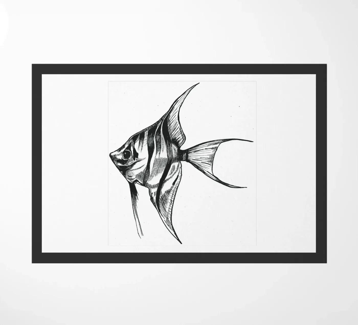 Skalar zerbino da naturelines