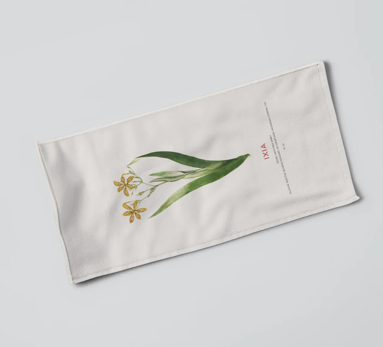 Ixia oder Maislilie Handtuch von Vintagrafica