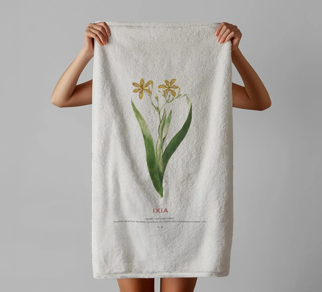 Ixia oder Maislilie Handtuch von Vintagrafica