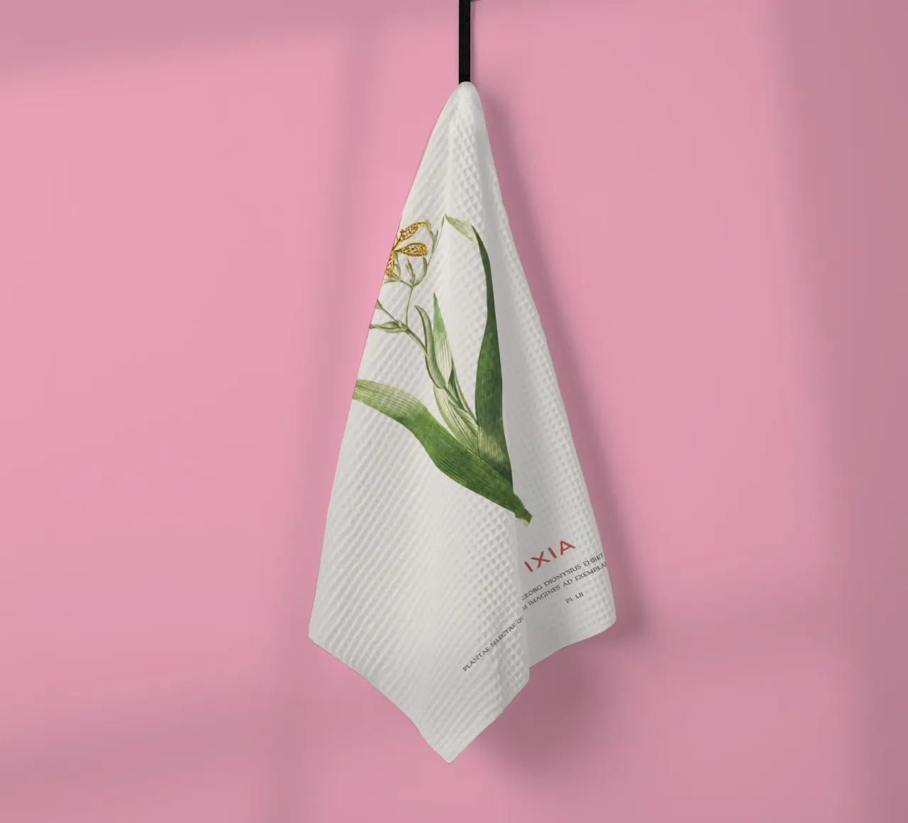 Ixia oder Maislilie Geschirrtuch von Vintagrafica