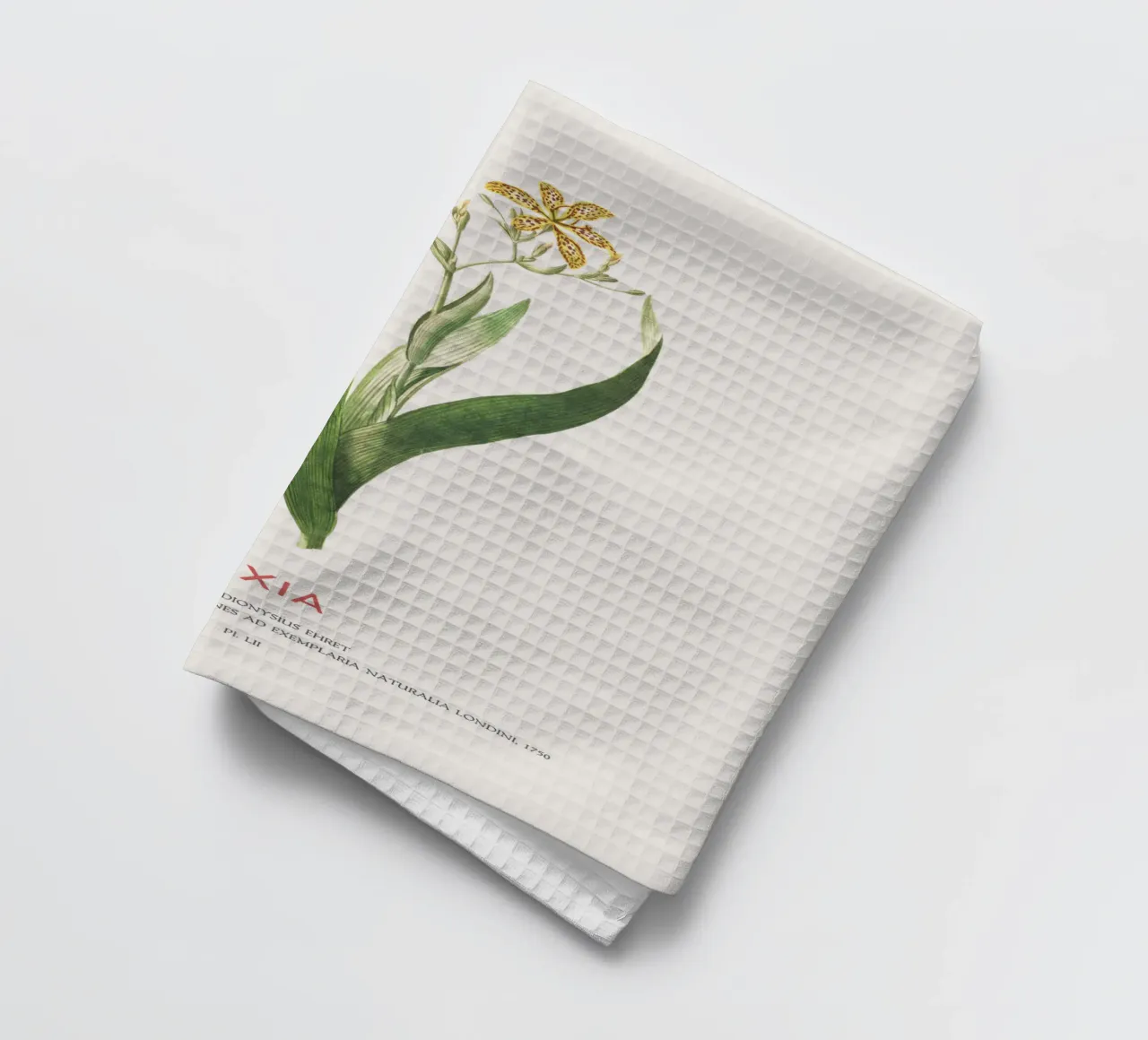 Ixia oder Maislilie Geschirrtuch von Vintagrafica