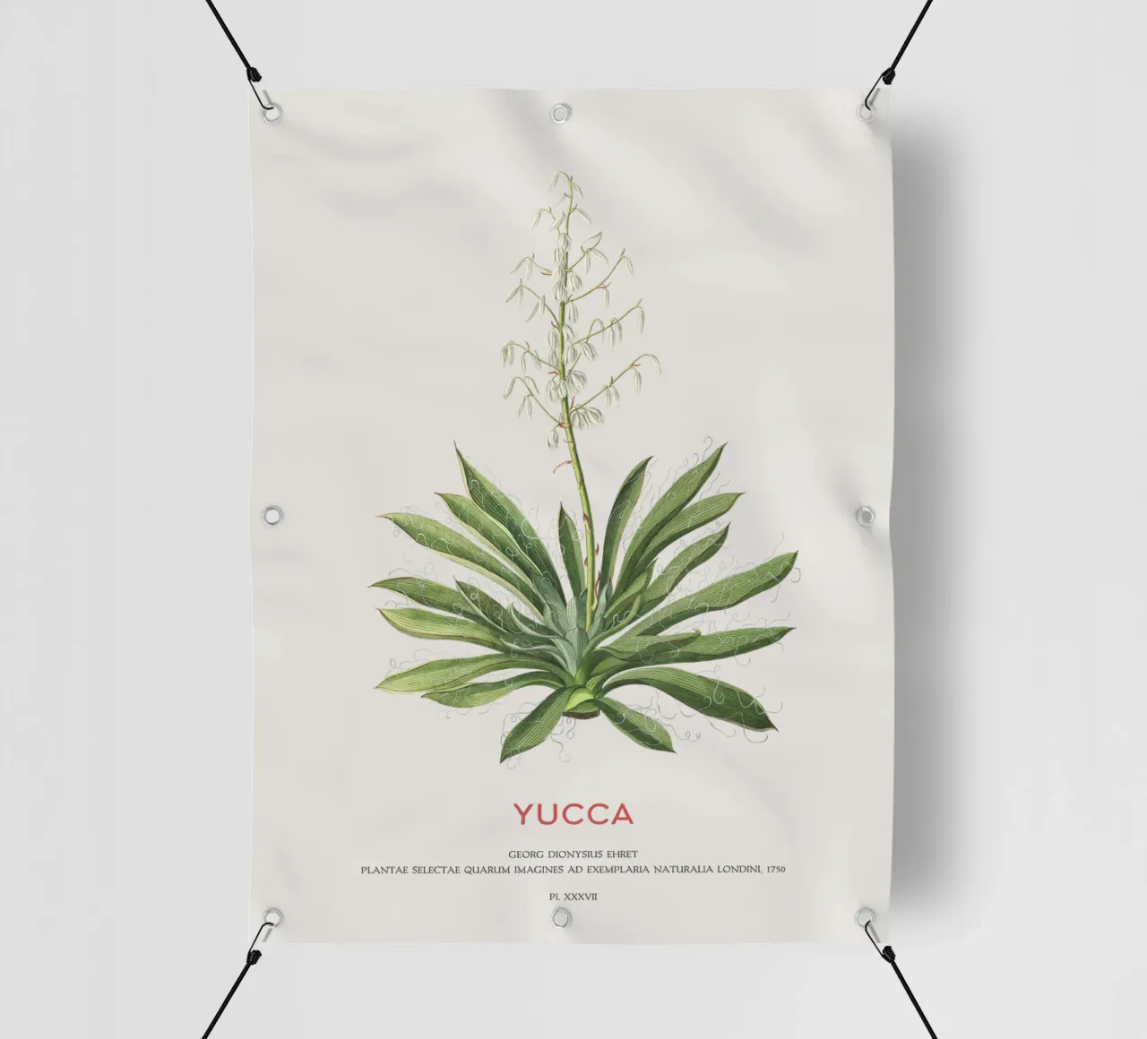 Fiore di yucca telo in pvc da Vintagrafica