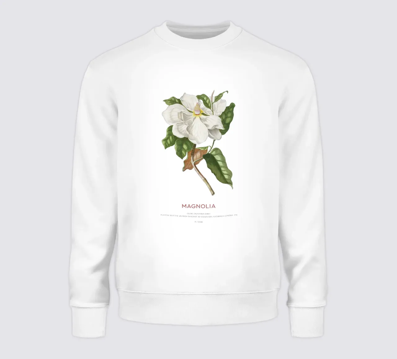 Magnolia felpa da Vintagrafica