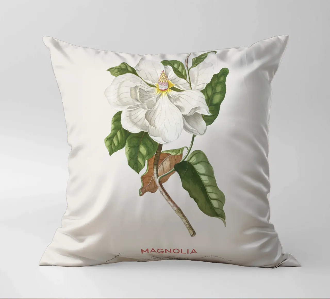 Magnolia cuscino da Vintagrafica