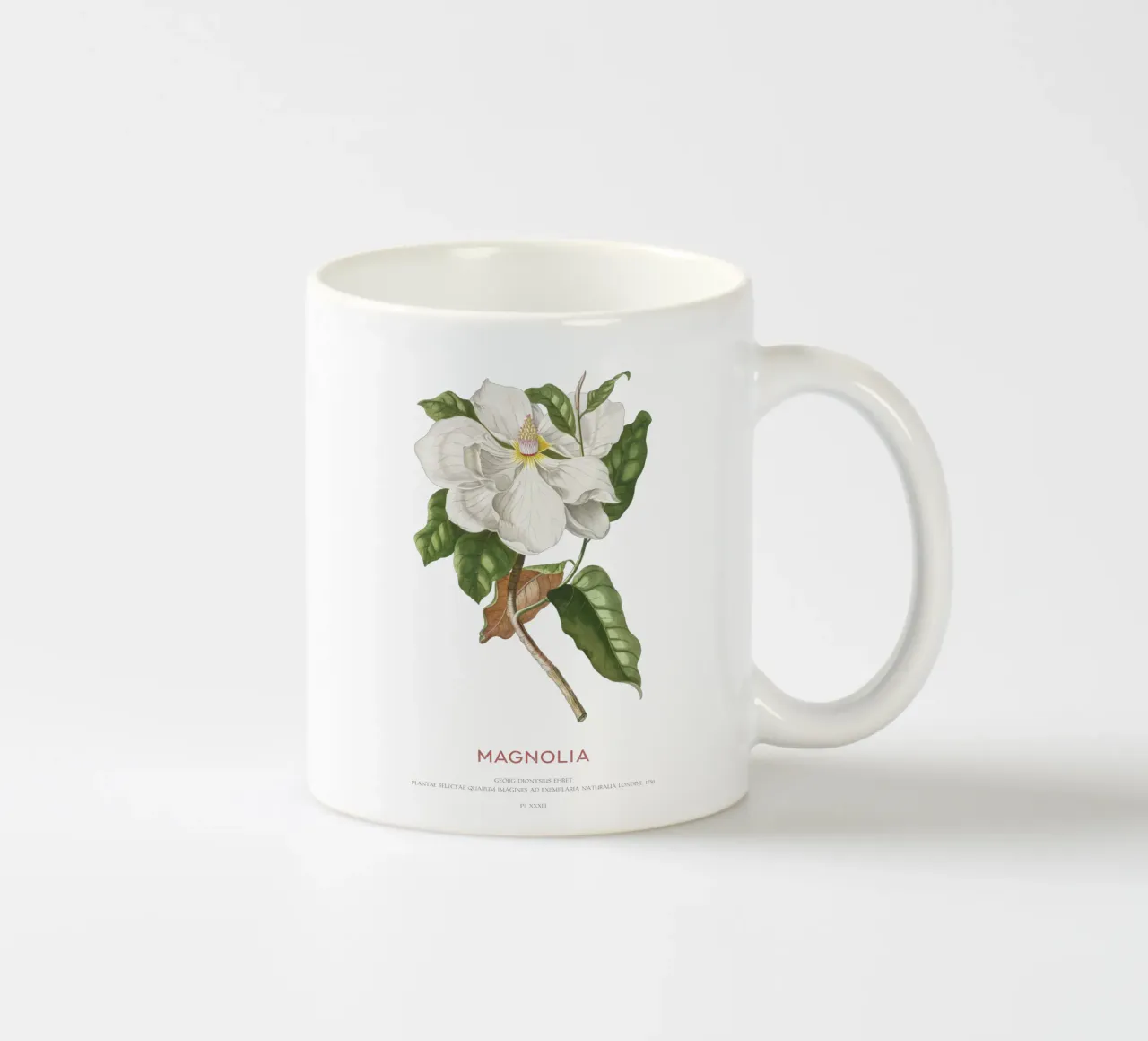 Magnolia tazza in ceramica da Vintagrafica