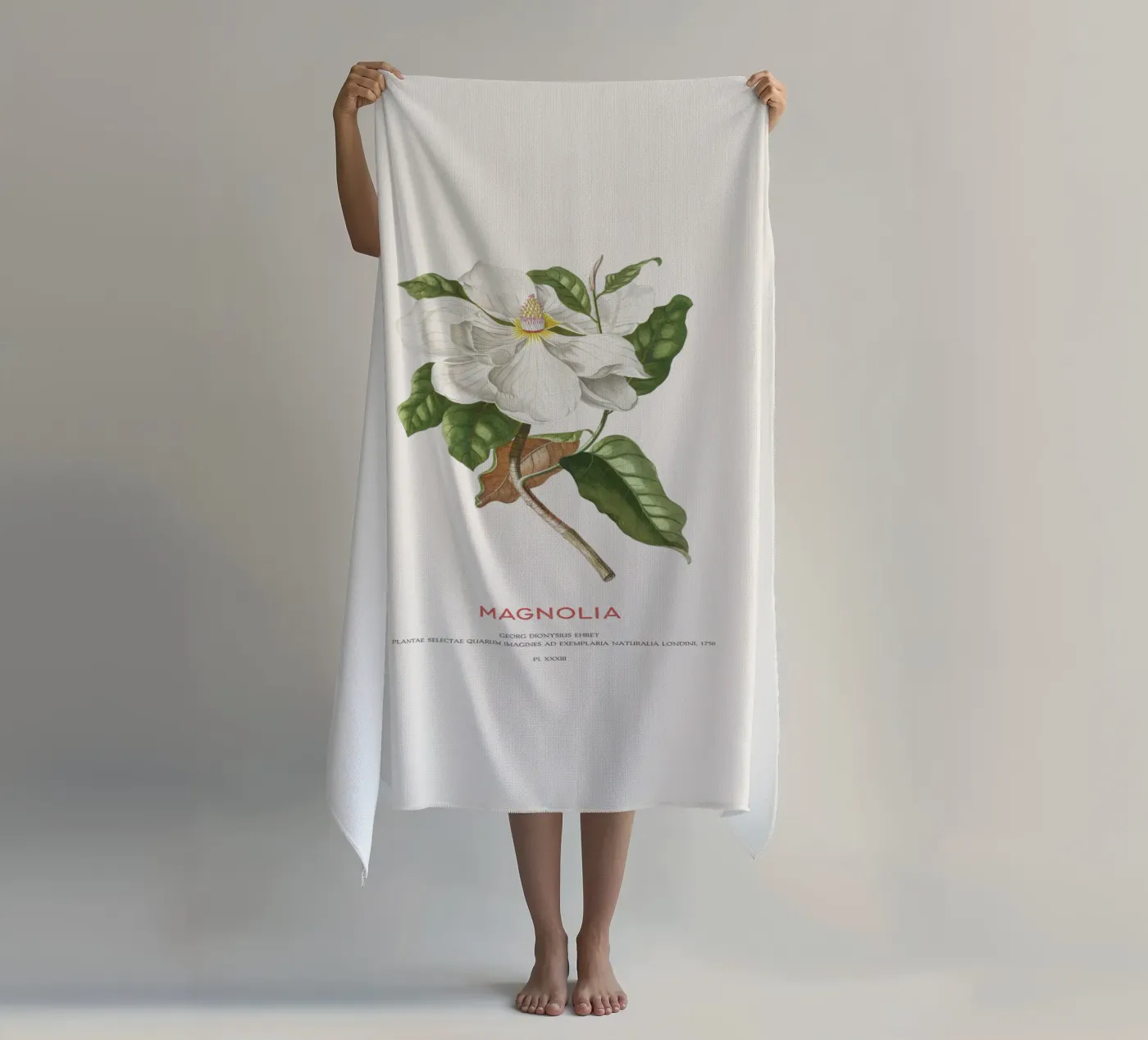 Magnolia telo mare da Vintagrafica