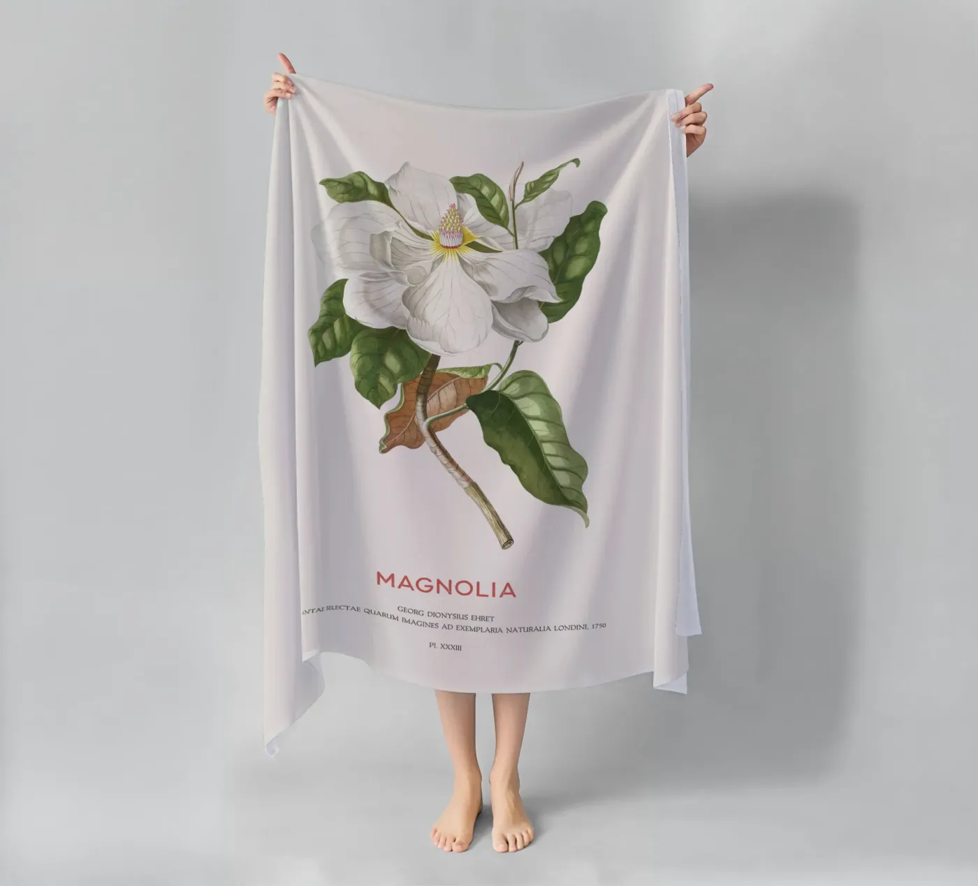 Magnolia telo mare da Vintagrafica
