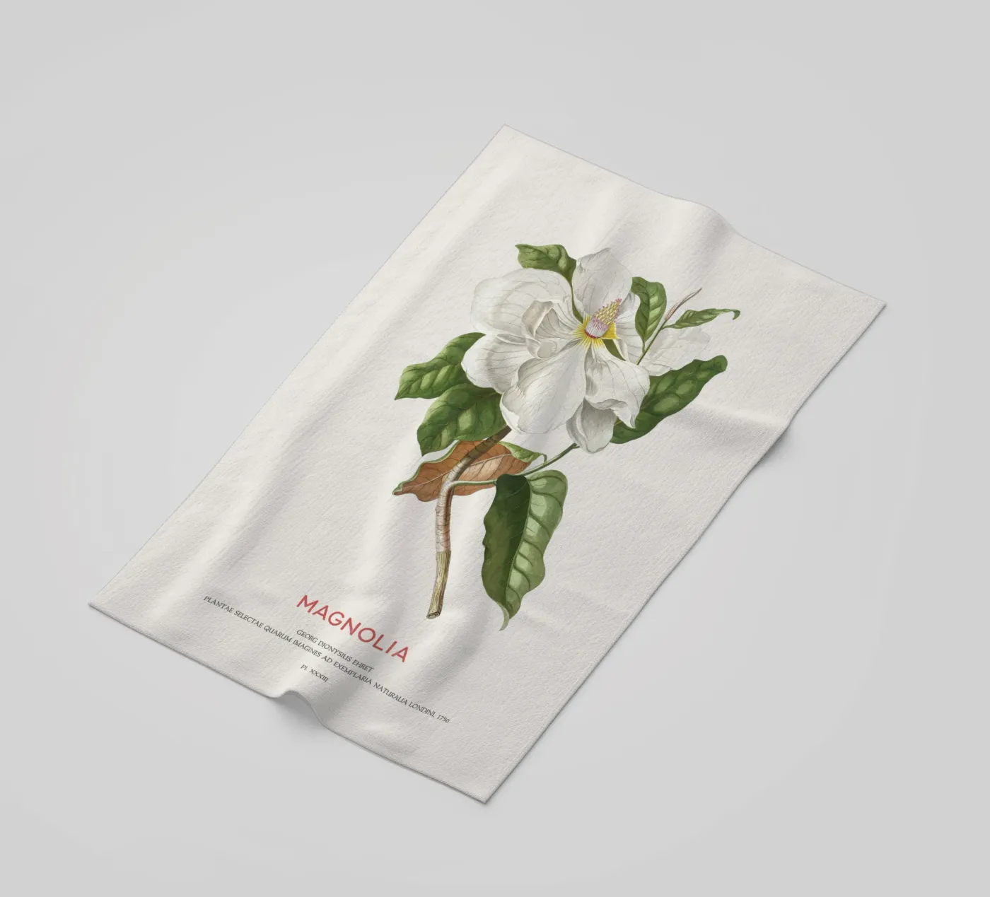 Magnolia telo mare da Vintagrafica