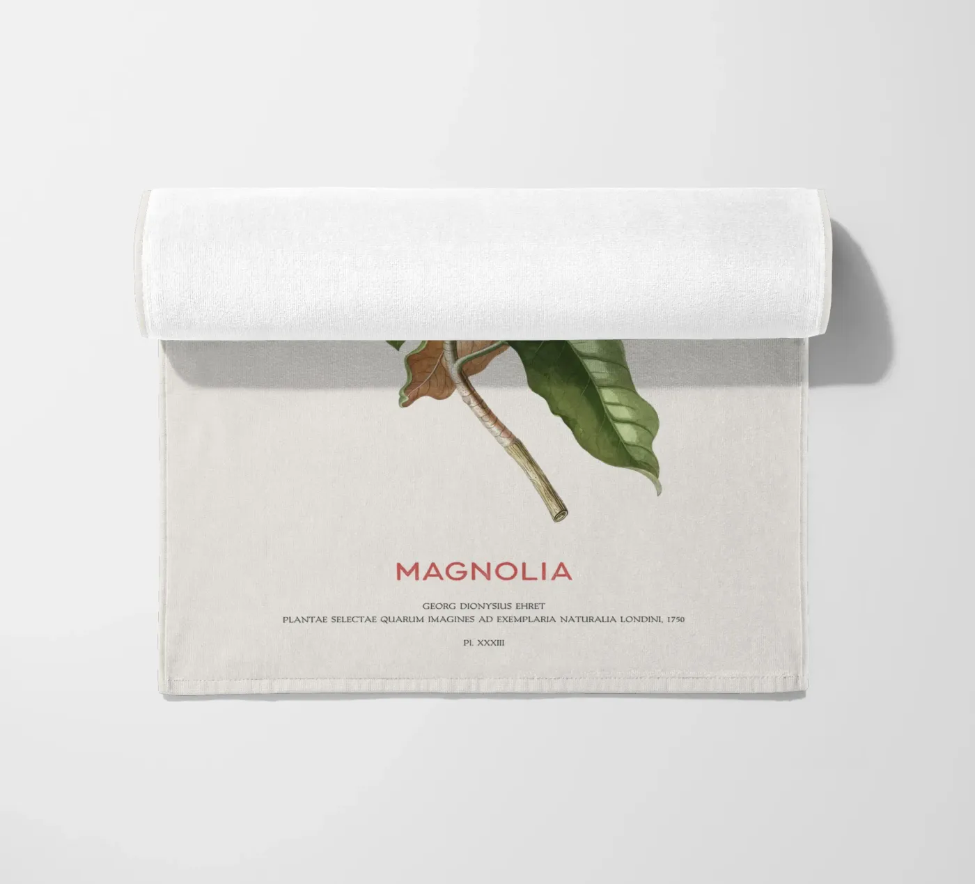 Magnolia telo mare da Vintagrafica