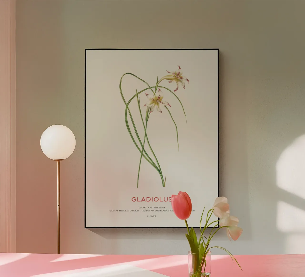 Gladiolo plexiglass da Vintagrafica