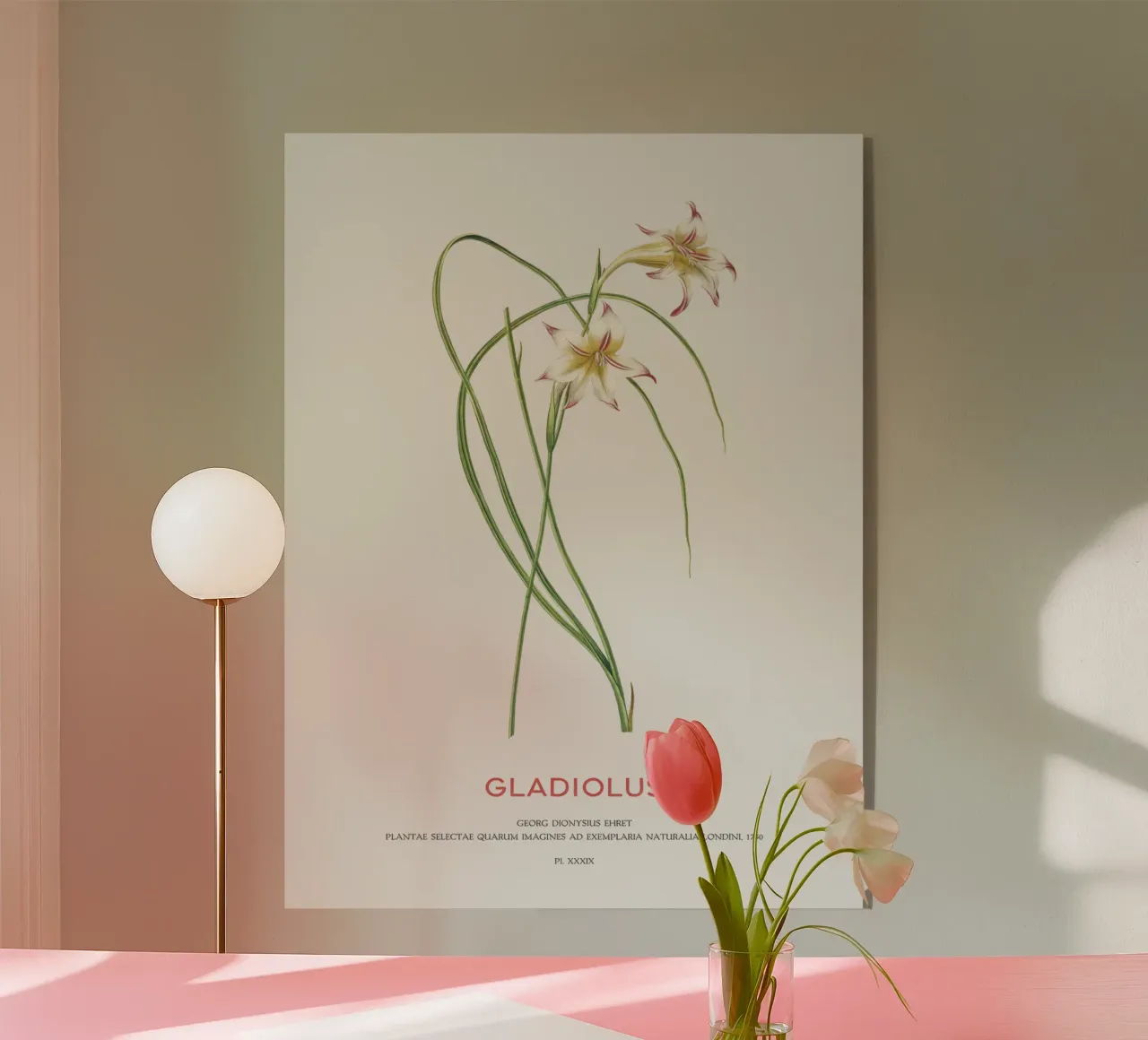 Gladiolo plexiglass da Vintagrafica