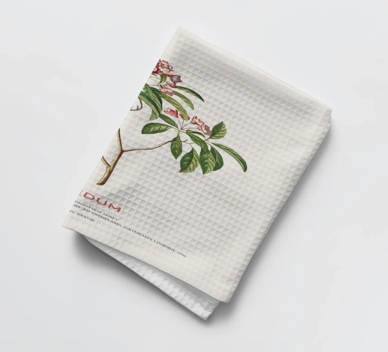 Ledum-Blüten oder Labrador-Tee Geschirrtuch von Vintagrafica