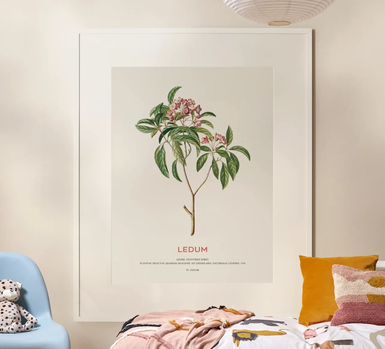 Ledum-Blüten oder Labrador-Tee Hahnemühle von Vintagrafica