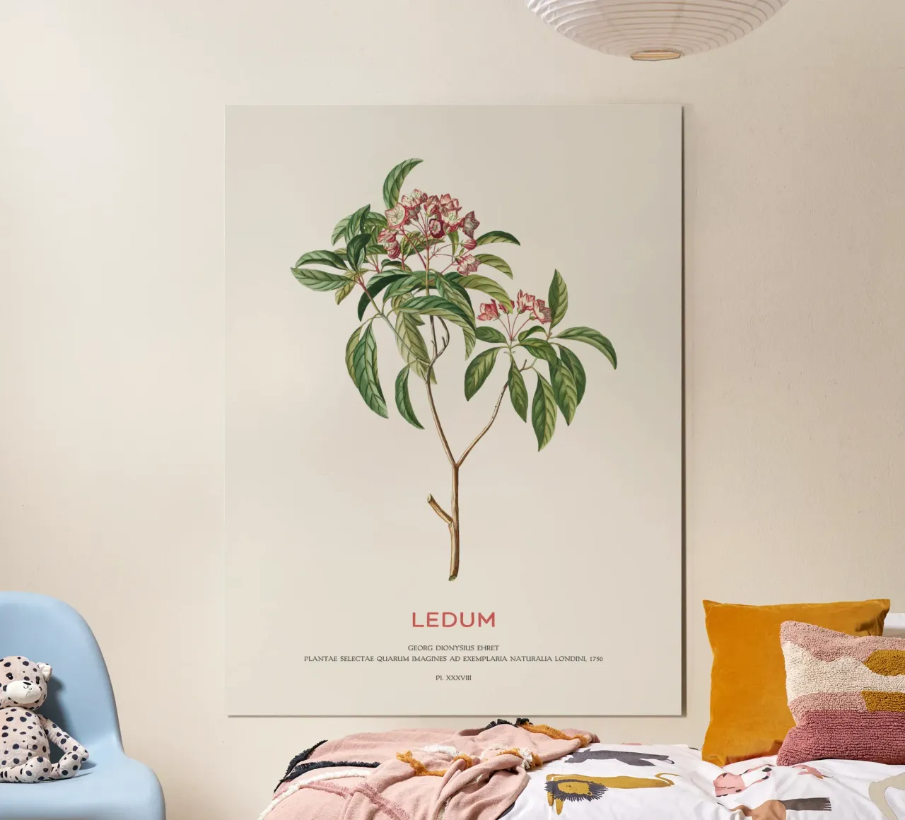 Ledum-Blüten oder Labrador-Tee Hahnemühle von Vintagrafica