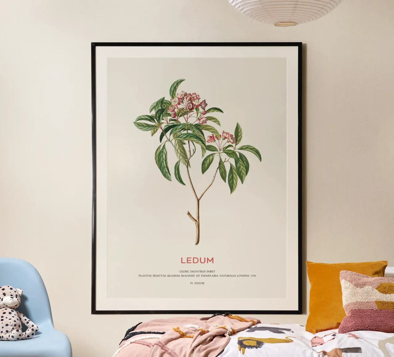 Ledum-Blüten oder Labrador-Tee Hahnemühle von Vintagrafica