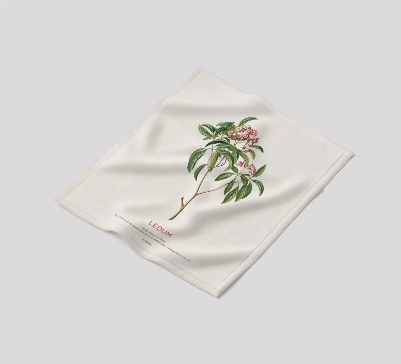Ledum-Blüten oder Labrador-Tee Fleecedecke von Vintagrafica
