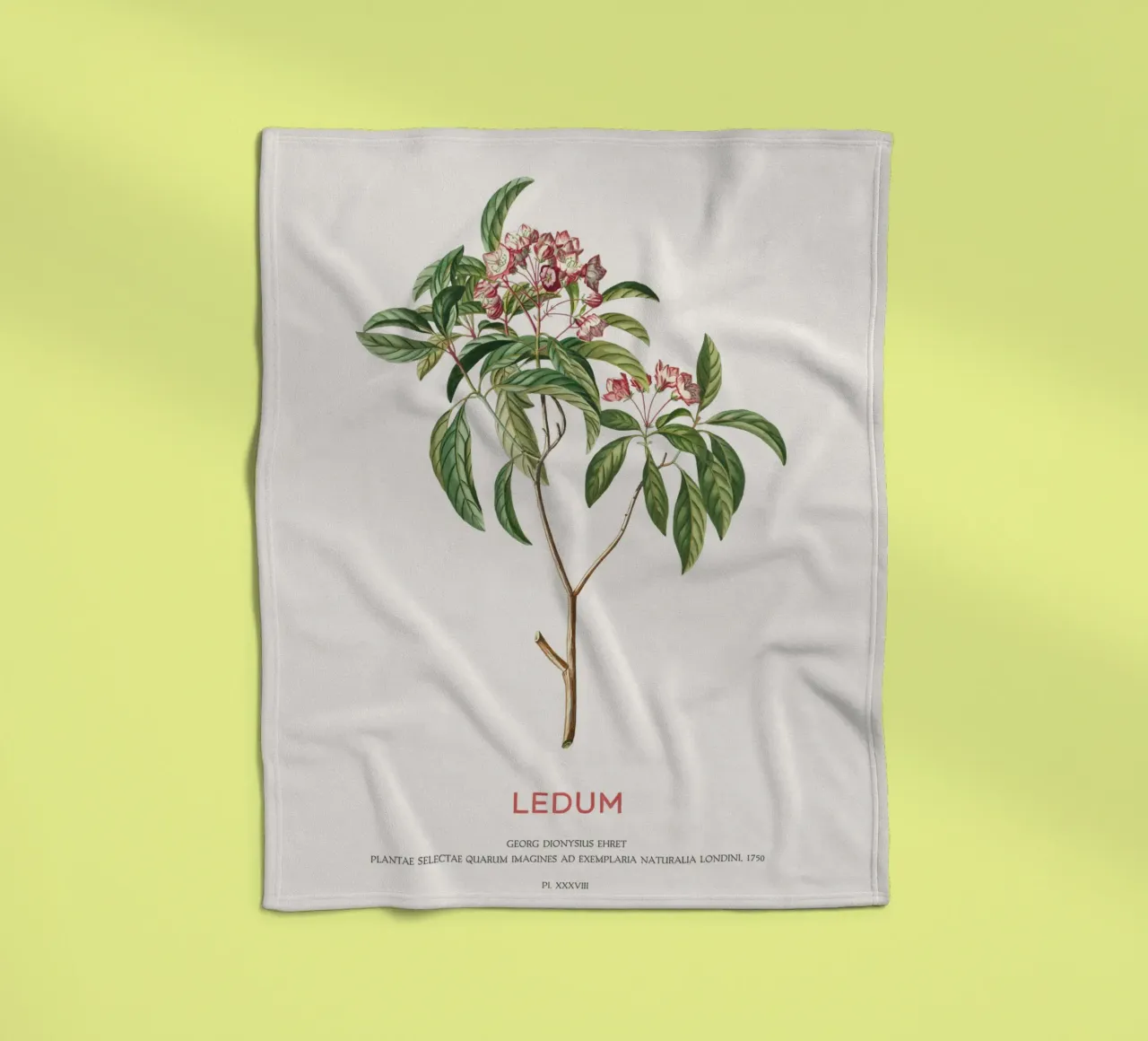 Ledum-Blüten oder Labrador-Tee Fleecedecke von Vintagrafica