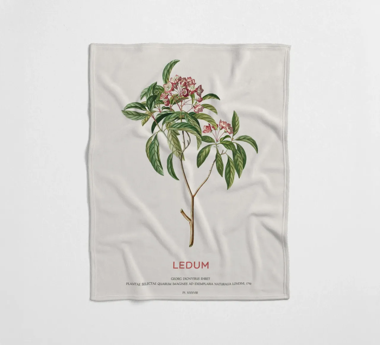 Ledum-Blüten oder Labrador-Tee Fleecedecke von Vintagrafica