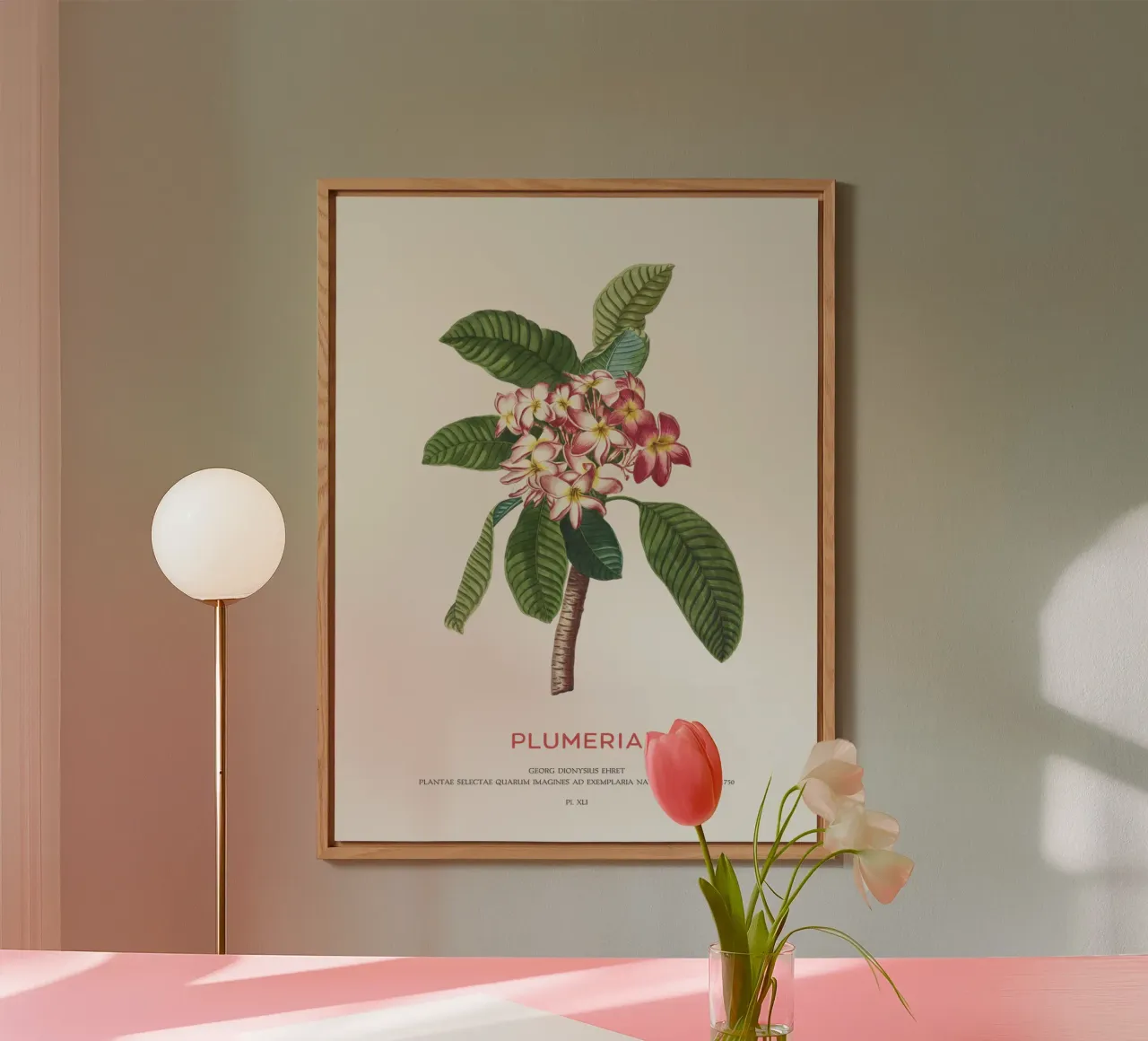 Plumeria flower forex plate by Vintagrafica