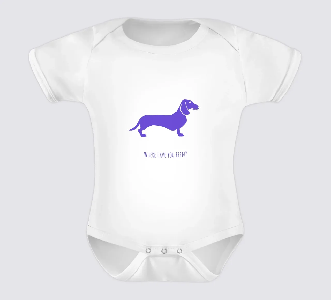 Teckel body bébé de Pop dogs