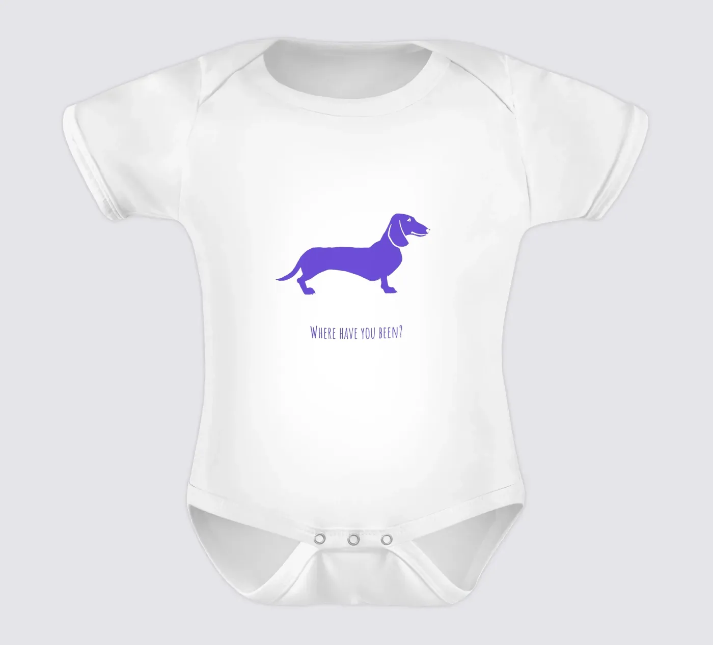 Teckel body bébé de Pop dogs