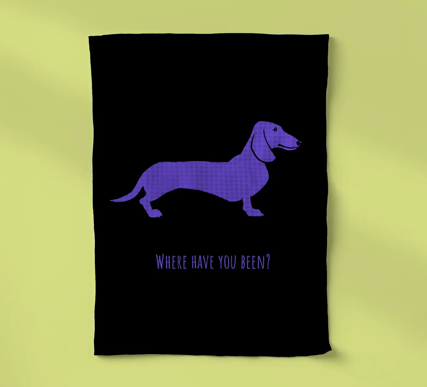 Teckel torchon de Pop dogs