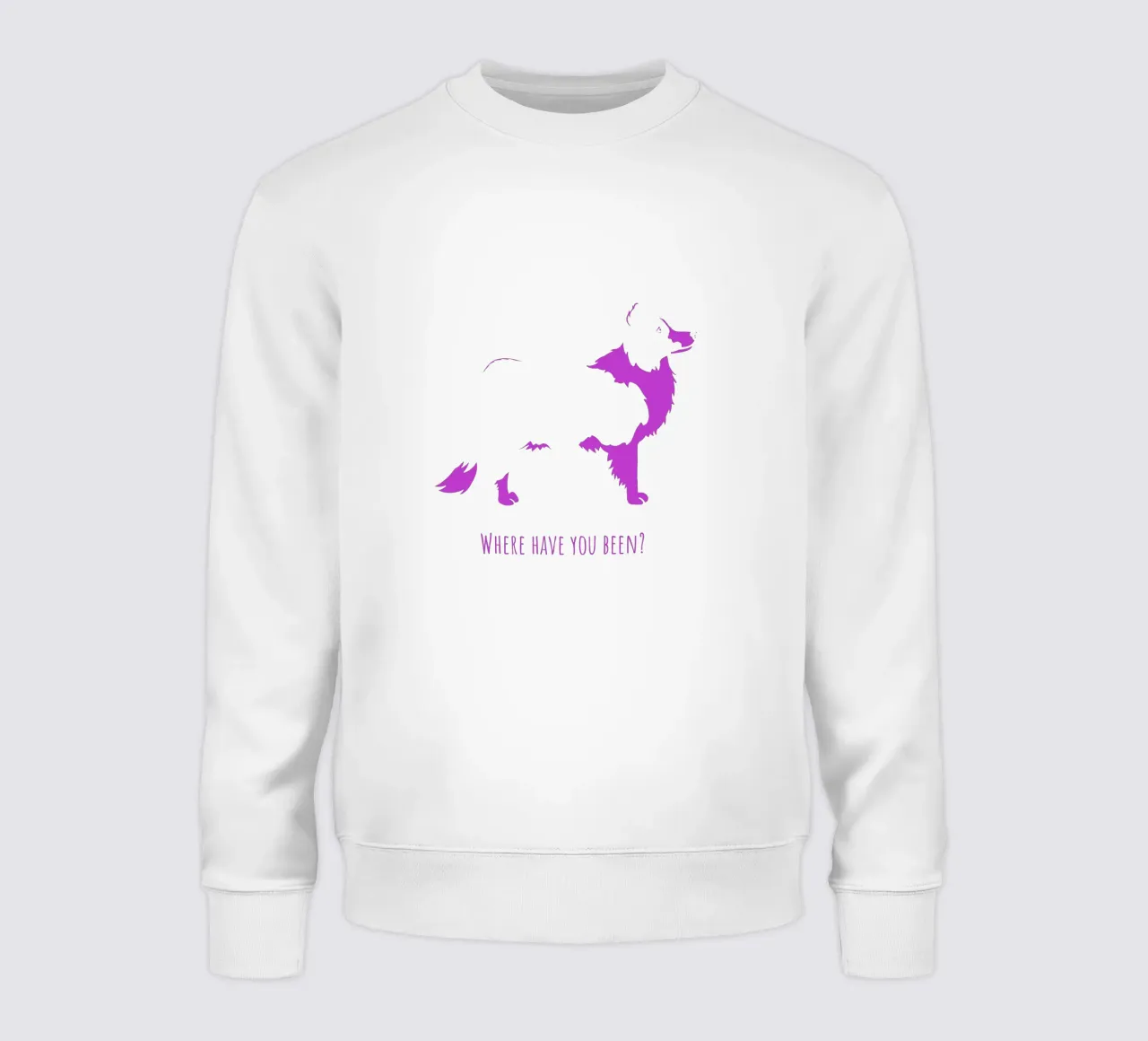 Border collie felpa da Pop dogs