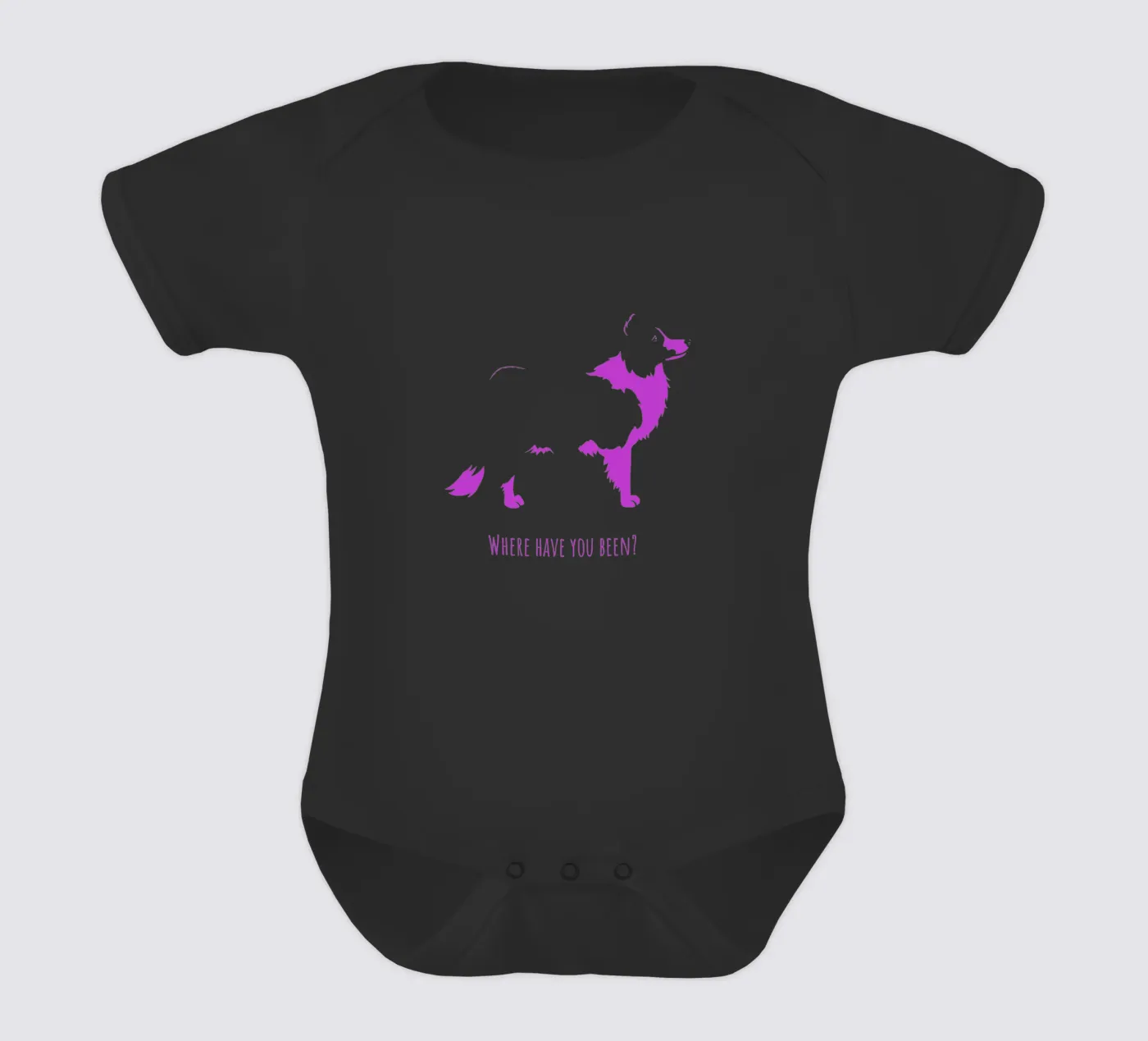 Border collie body bébé de Pop dogs