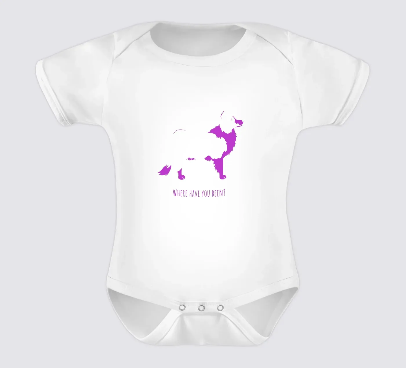 Border collie body bébé de Pop dogs