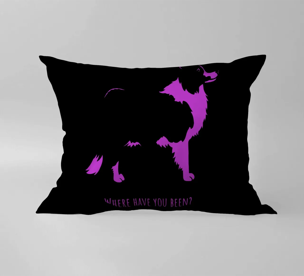 Border collie cuscino da Pop dogs