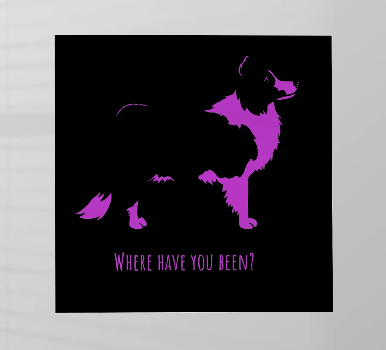 Border collie pellicola backlit da Pop dogs