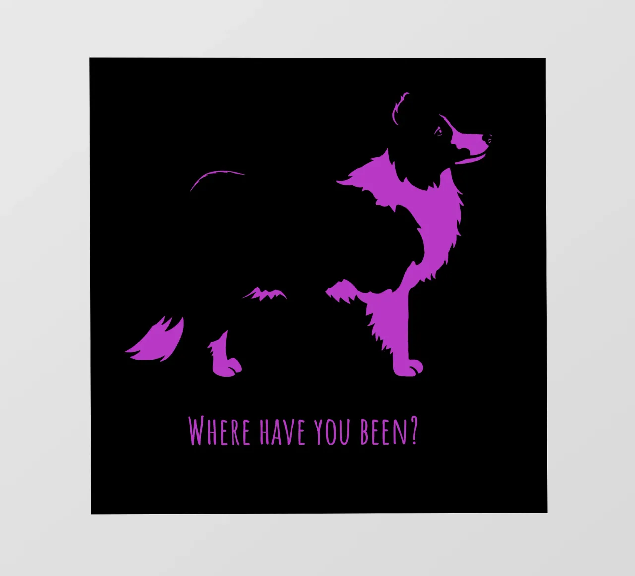 Border collie pellicola backlit da Pop dogs