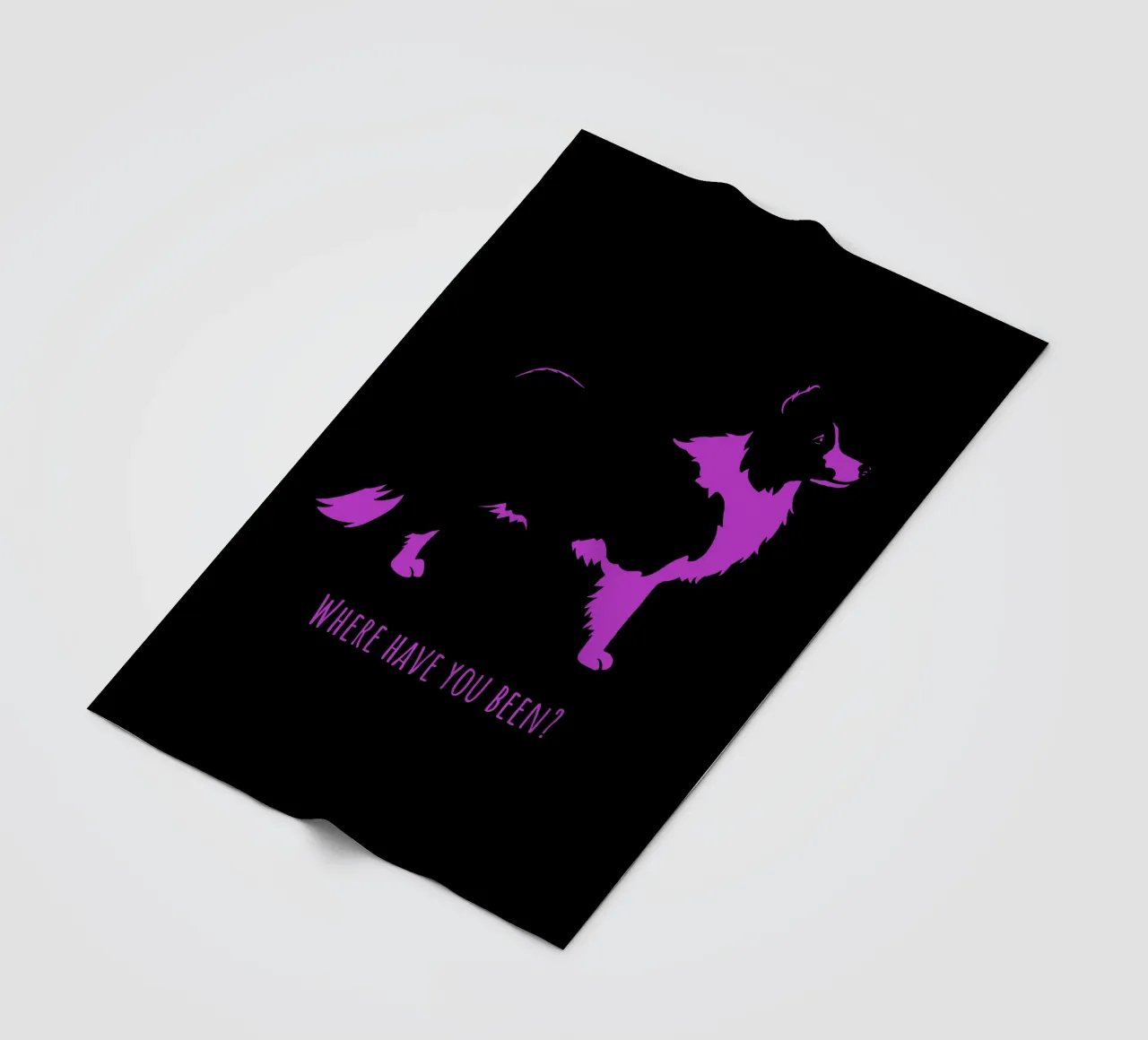 Border collie coperta in pile da Pop dogs