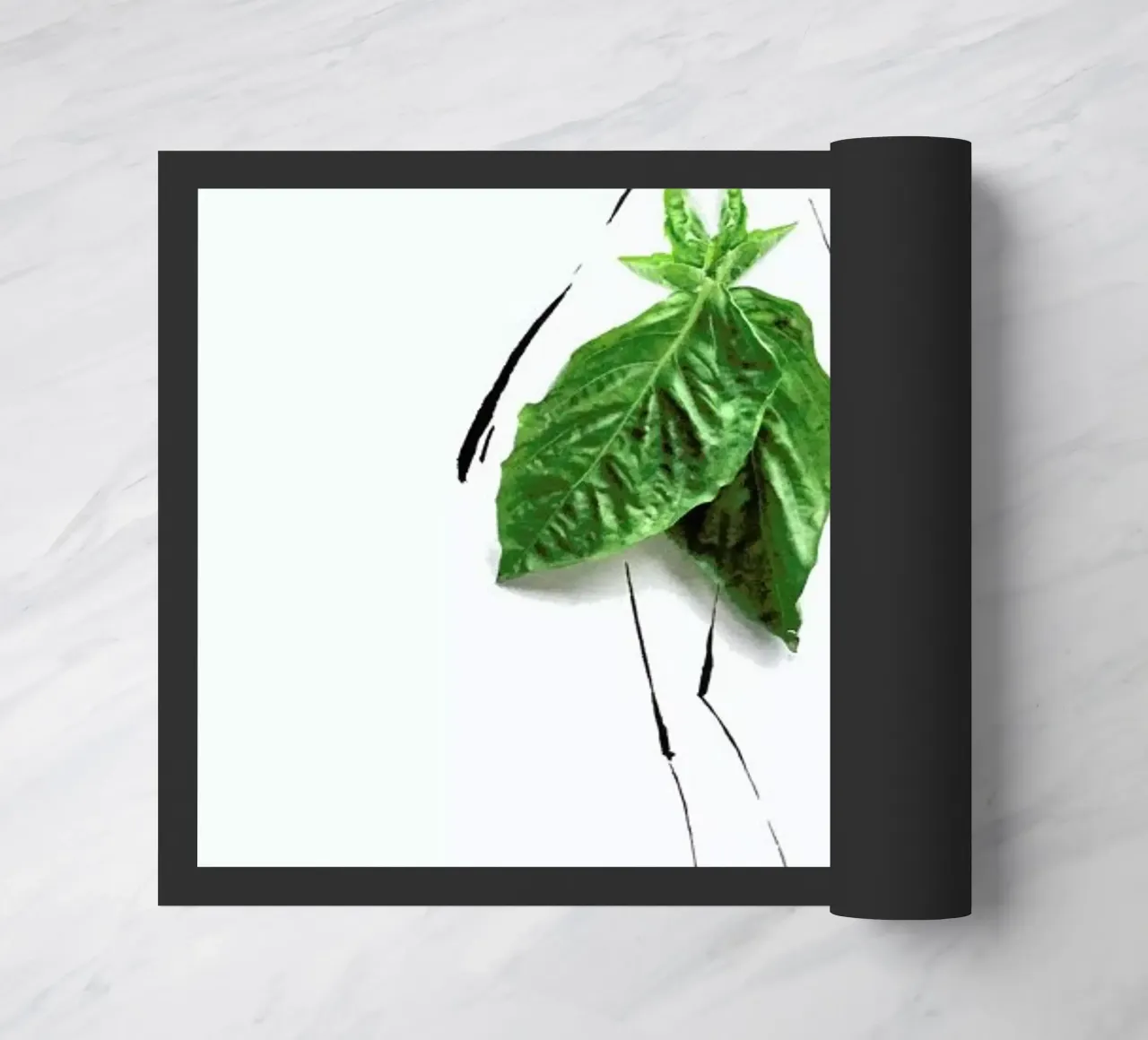 Basil zerbino da Gretchen Roehrs