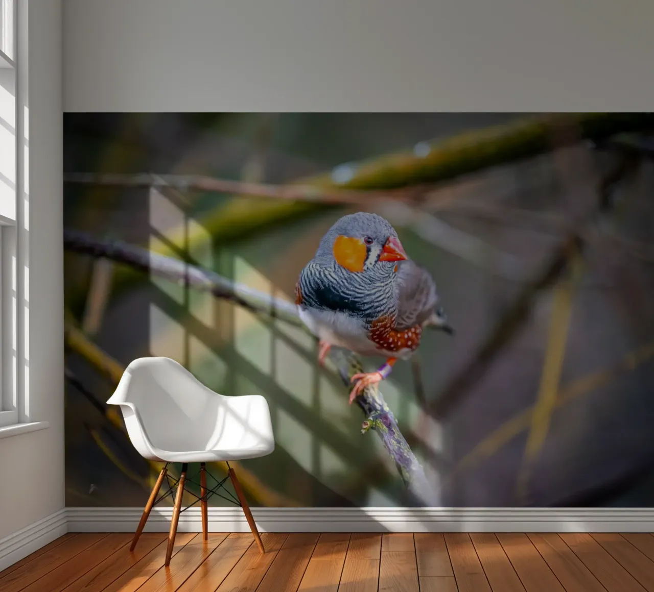 Zebra finch sitting on a branch photo wallpaper by Marcus Beckert | Fotografie