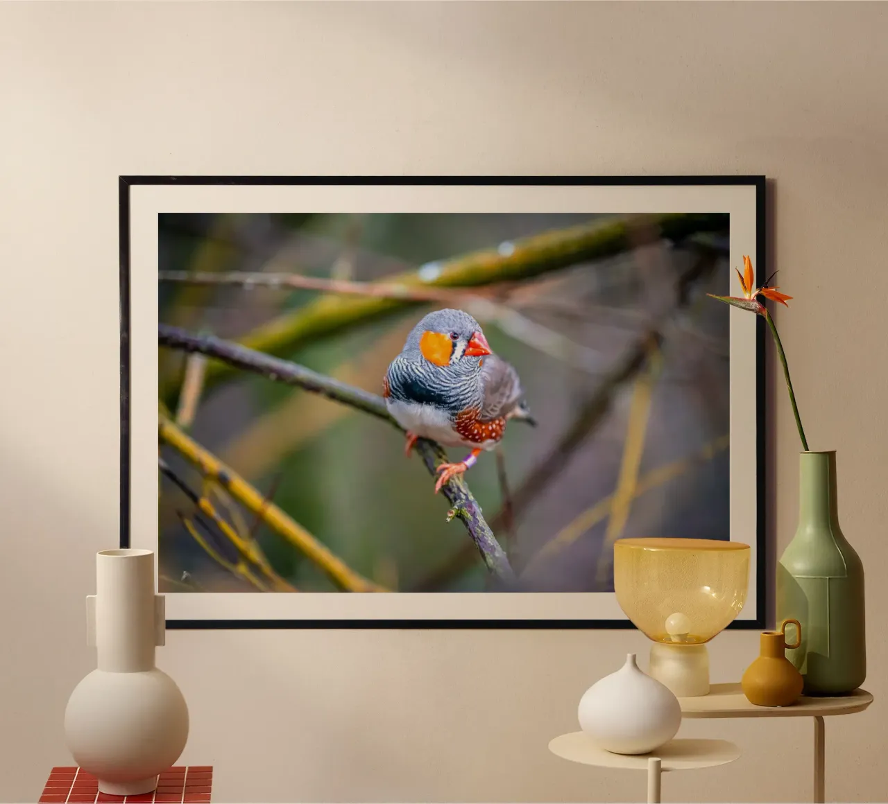 Zebra finch sitting on a branch hahnemühle by Marcus Beckert | Fotografie