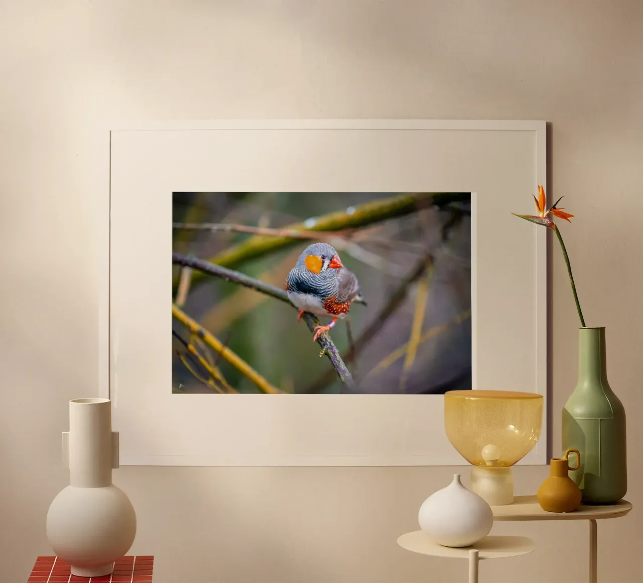 Zebra finch sitting on a branch hahnemühle by Marcus Beckert | Fotografie