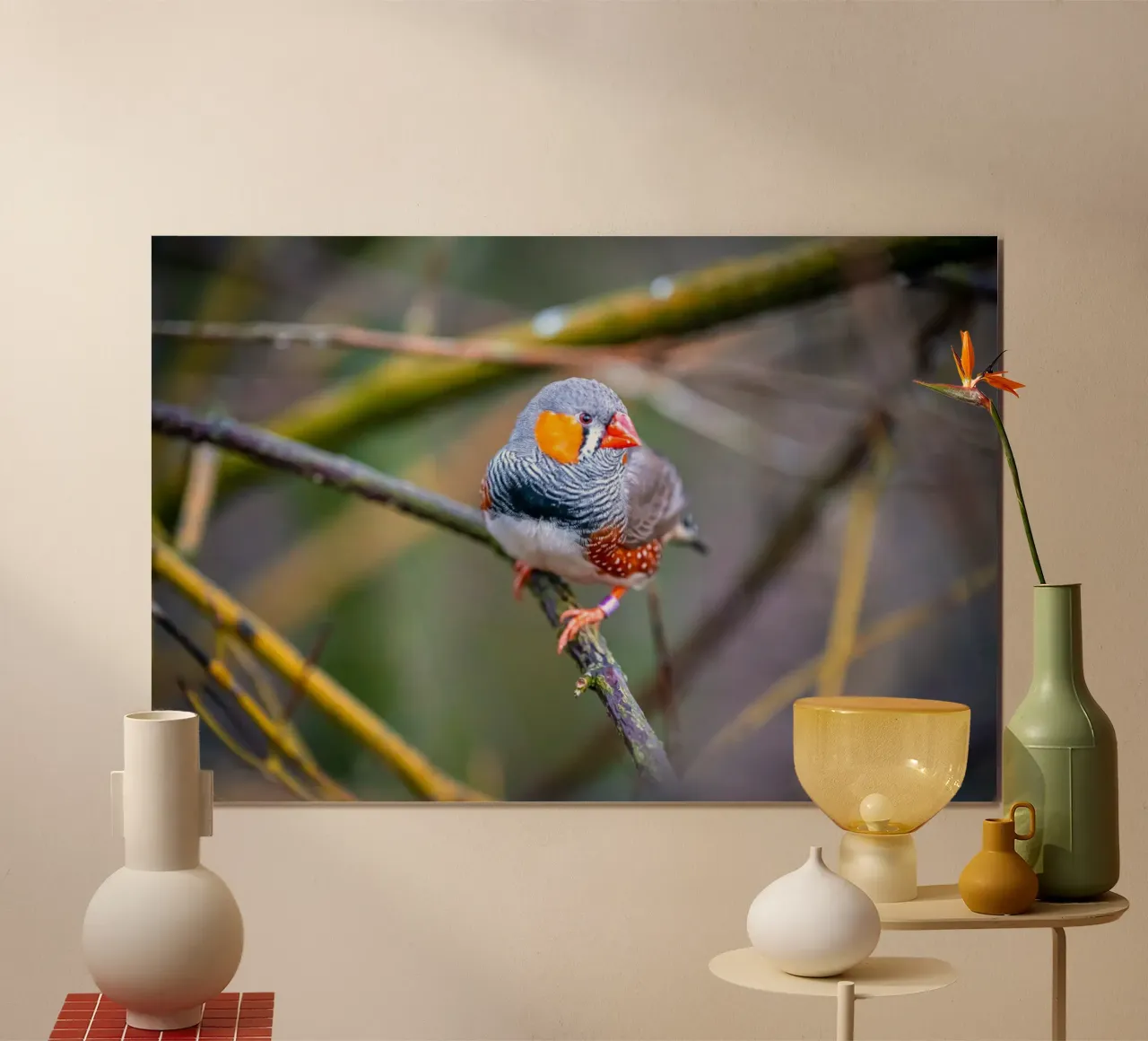 Zebra finch sitting on a branch hahnemühle by Marcus Beckert | Fotografie