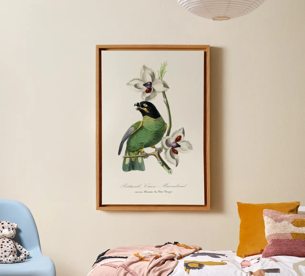 Paul Gervais - Parakeet Vogel No. 2 tela con Cornice a cassetta da Old Masters