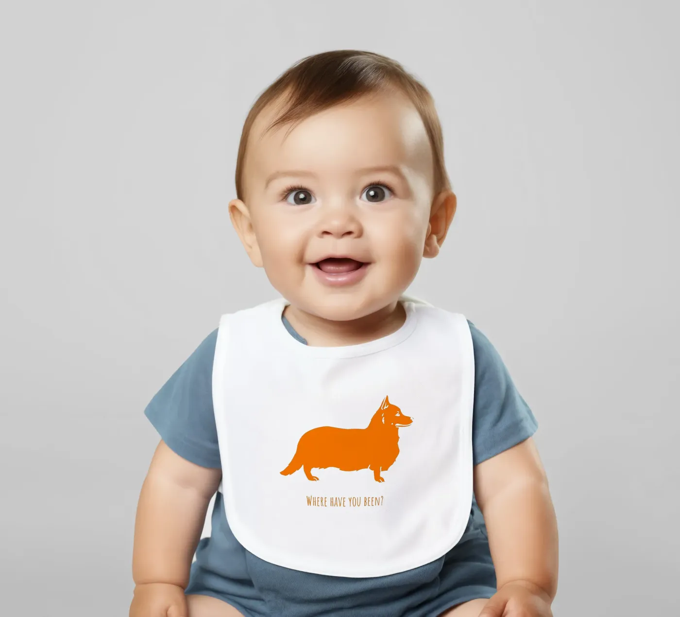 Corgi bavaglino da Pop dogs