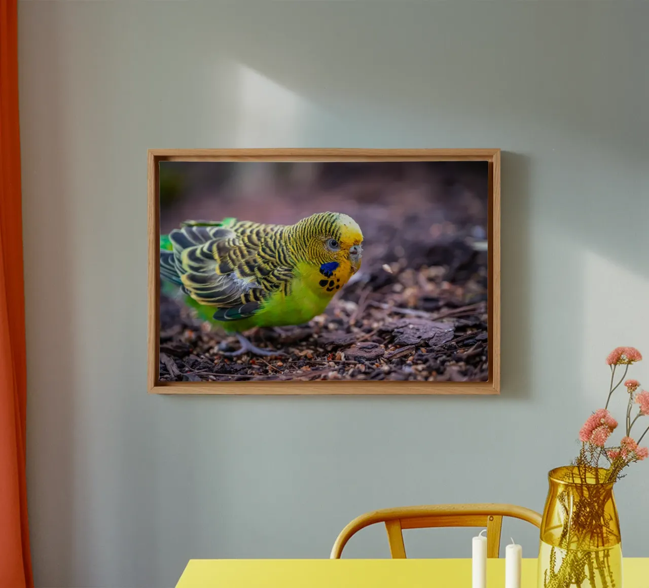 Groene grasparkiet pikt granen canvas met Baklijst van Marcus Beckert | Fotografie